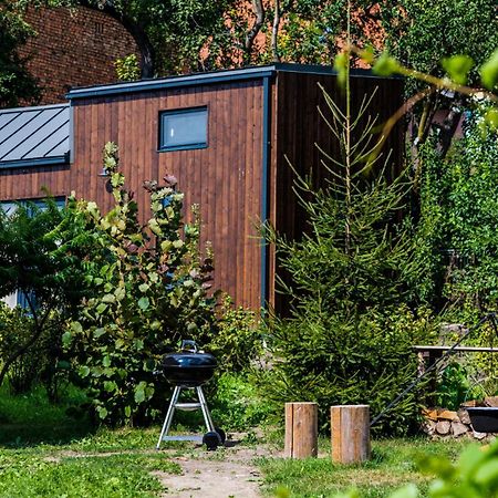 Organicle Lodge Sincraieni Exterior foto